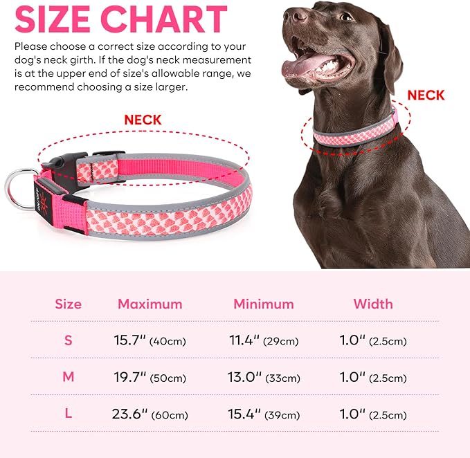 Light Up Dog Collars for Small Dogs, USB Rechargeable Flashing Dog Collar, Led Dog Collar with Reflective Edging - Glow in The Dark Lighted Collar - Dog Glow Collar for Night Walking - Pink, S