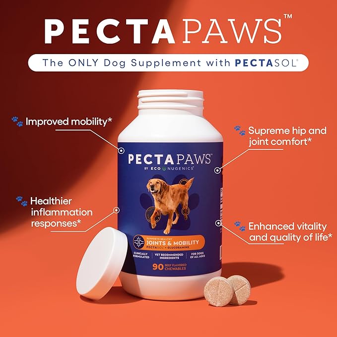 ecoNugenics PectaPaws Chewable Dog Supplements – Beef Flavor, 90 Count – PectaSol Modified Citrus Pectin + Glucosamine HCI for Dogs of All Ages, Supports Mobility, Joints, Immune Function, Pain Relief