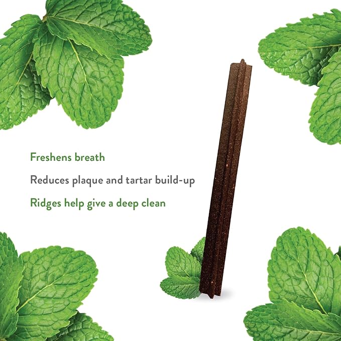 Shameless Pets Dental Treats for Dogs, Banana Bone-Anza - Healthy Dental Sticks with Hip & Joint Support for Teeth Cleaning & Fresh Breath - Dog Bones Dental Chews Free from Grain, Corn & Soy