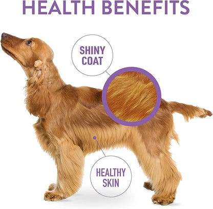 DOGSWELL Skin & Coat Soft & Chewy Dog Treats, Salmon, 14 oz. Pouch