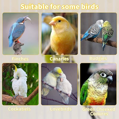 Hamiledyi Bird Perch Bird Stand Bird Cage Accessories Platform Natural Wood Perch Stick Playground for Small Medium Birds Cockatiel Parakeet Conure Cage Accessory (8 Pcs)