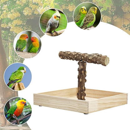 BNOSDM Portable Bird Perch Stand with Potty Tray, Natural Wood Tabletop Training Gym Parrot Playground Toy for Budgies, Cockatiels, Lovebirds,Conures