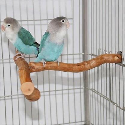 Wood Bird Perch, T Shaped Birdcage Stand Wooden Parrot Perch Stand Perch for Bird Cage Grinding Bird Perch Branches, T Perch Bird Accessory, Easy to Install