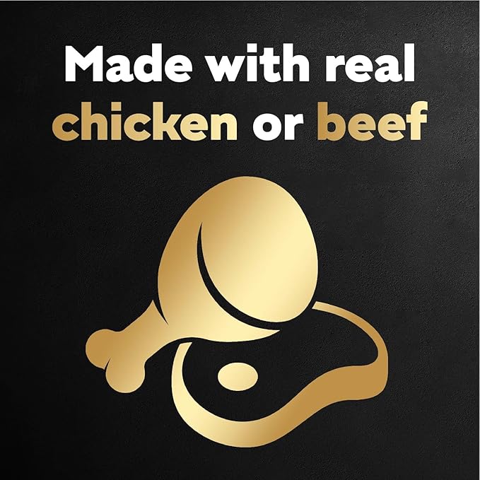 Cesar Wet Dog Food 40 Count Multipack