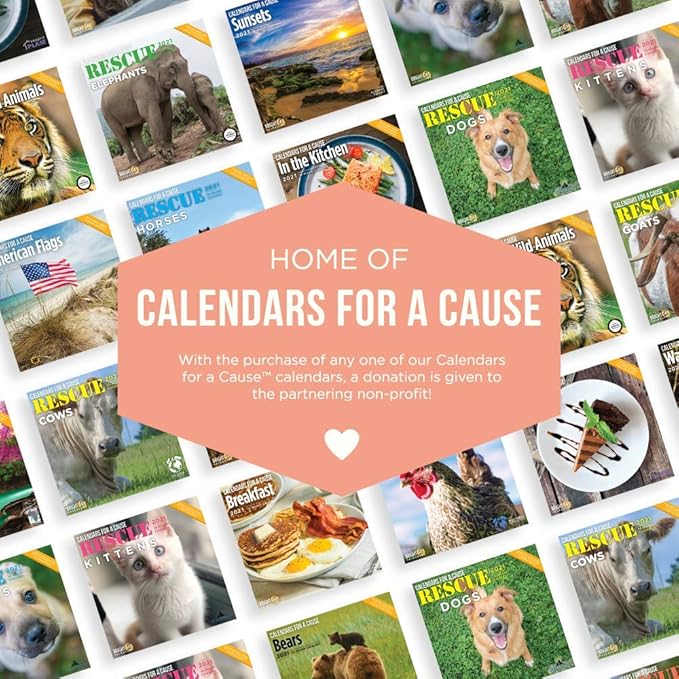 2-Speed USB Rechargeable Electric Cat Dog Pet Nail Trimmer 03