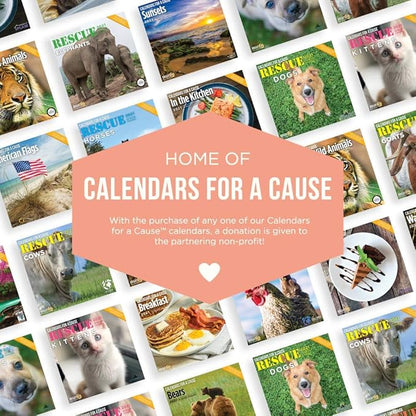 2-Speed USB Rechargeable Electric Cat Dog Pet Nail Trimmer 03