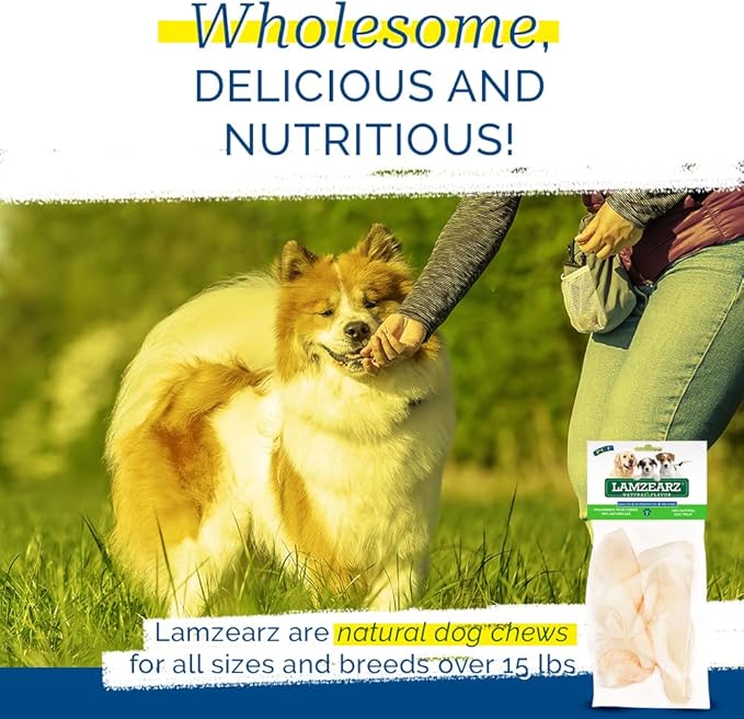 PCI Pet Center Inc Lamzearz - 10 Pack of Premium Lamb Ear Dog Treats