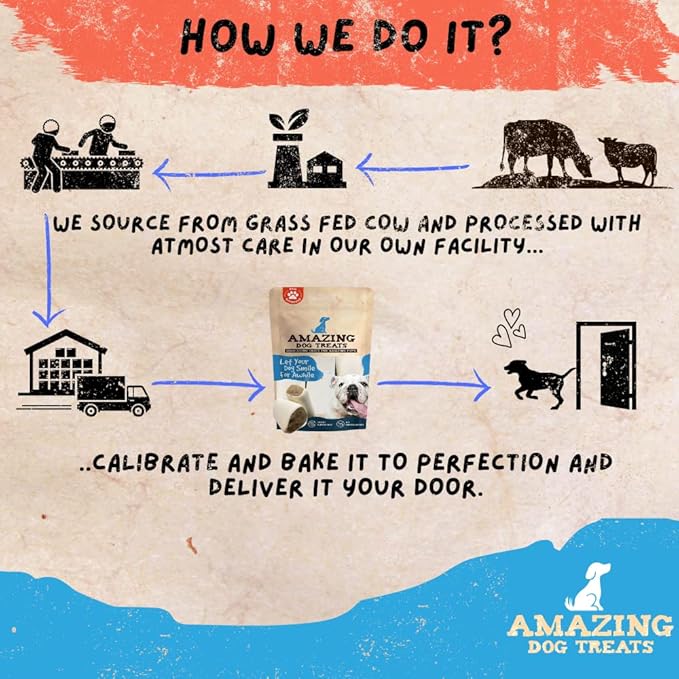 Amazing Dog Treats - Stuffed Shin Bone for Dogs (Peanut Butter Blend, 2-3 Inch - 4 Count) - All Natural Dog Bones