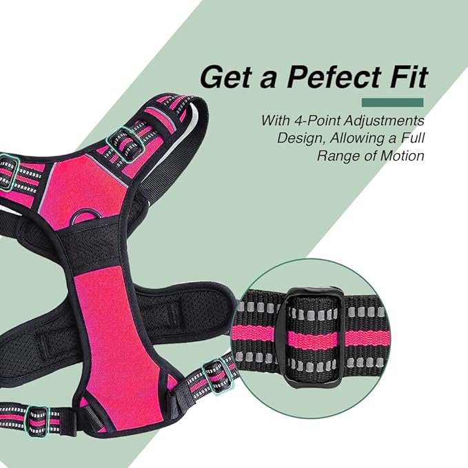 Dog Harness and Leash Duo, No Pull Vest Harness with 5 Ft Leash, Soft padded Vest, No-Choke Oxford Pet Harness, Easy Control Handle and Adjustable Pet Harness (Rose Red, Large)