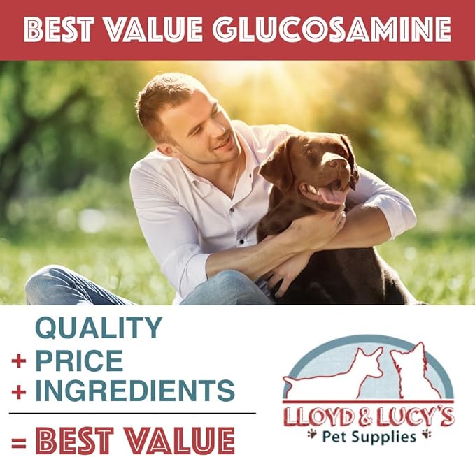 Lloyd & Lucy's Hip and Joint Supplement for Dogs - Chewable Multivitamin with Glucosamine, Chondroitin, MSM and Vitamin C - Healthy Liver Flavored Treat Pets Will Love - 180 Ct Tablets