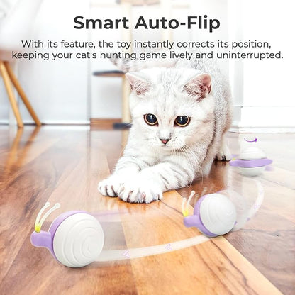 Cheerble Interactive Cat Toy for Indoor Cats, Wicked Snail, [2024 Upgraded] Kitten Toys, Automatic Cat Toys with LED Lights, DC Rechargeable Moving Toy, Smart Sensing Electric Catnip Toy (White)
