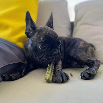 Pupford Dental Chews for Dogs | Freshens Breath, Scrapes Plaque, Safe for Gut | Healthy, Limited Ingredient, All Natural |Yummy & Made in USA | Free Training Resources | 30 Count