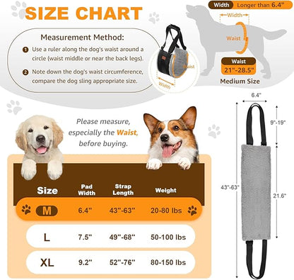 Adjustable Dog Lift Harness, Dog Sling for Large Dogs Hind Leg Support, Soft Lift Support Helps Senior, Injured, Disabled and After ACL Surgery Dogs-Black & Grey (Medium)