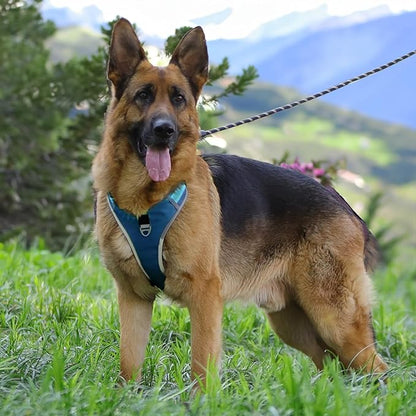 Dog Harness for Medium Dogs No Pull, Adjustable Reflective Oxford Outdoor Vest, Easy for Walk and Training, Front/Back Leash Clips for Small, Medium, Large Dogs (Blue, S)