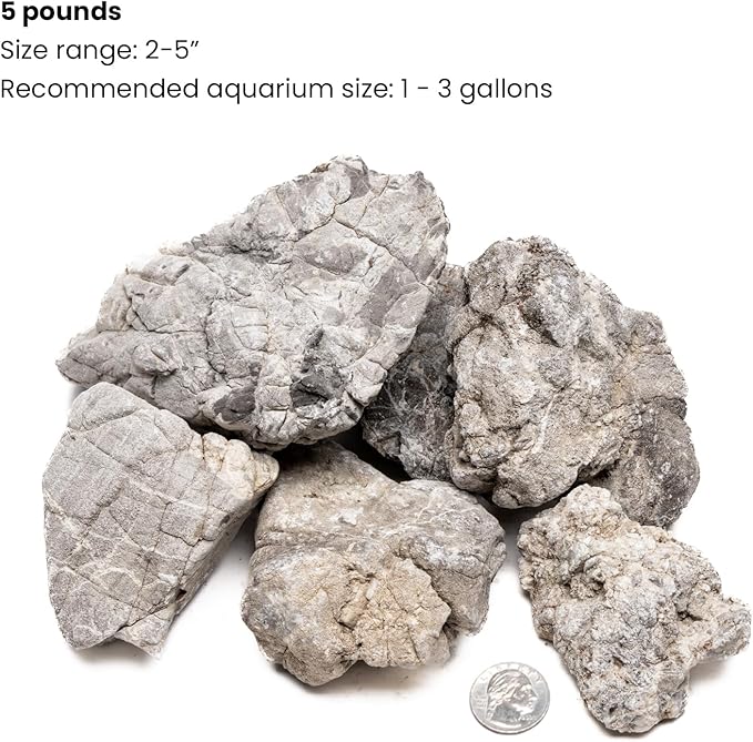 SubstrateSource Natural Stone for Aquarium, Terrarium, Paludarium, Reptile Enclosures - Set of Decorative Rocks for Landcapes, Aquascaping, Fish Tank Decor (Elephant Skin Stone, 5 Pounds, 2-5)