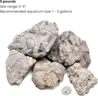 SubstrateSource Natural Stone for Aquarium, Terrarium, Paludarium, Reptile Enclosures - Set of Decorative Rocks for Landcapes, Aquascaping, Fish Tank Decor (Elephant Skin Stone, 5 Pounds, 2-5)
