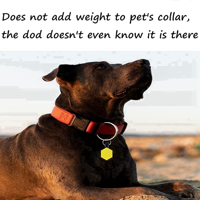 6 Pack Newest Hexagon Silent Pet Tags Modifiable Dog Tag,Multiple Emergency Contact,Lightweight, No Jinging, Collar Accessories,Cat ID Tag