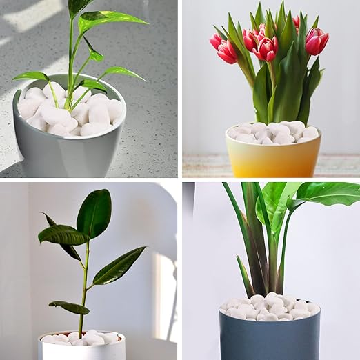 10Ib Snow White River Rock- Decorative Pebbles for Plants - River Rocks for Outdoor Landscaping- 0.3"-0.8" inch Polished Stones for Stones for Aquarium, Home Decor,Garden Decor