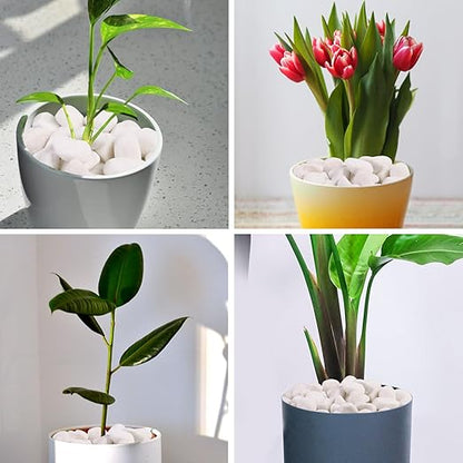 10Ib Snow White River Rock- Decorative Pebbles for Plants - River Rocks for Outdoor Landscaping- 0.3"-0.8" inch Polished Stones for Stones for Aquarium, Home Decor,Garden Decor