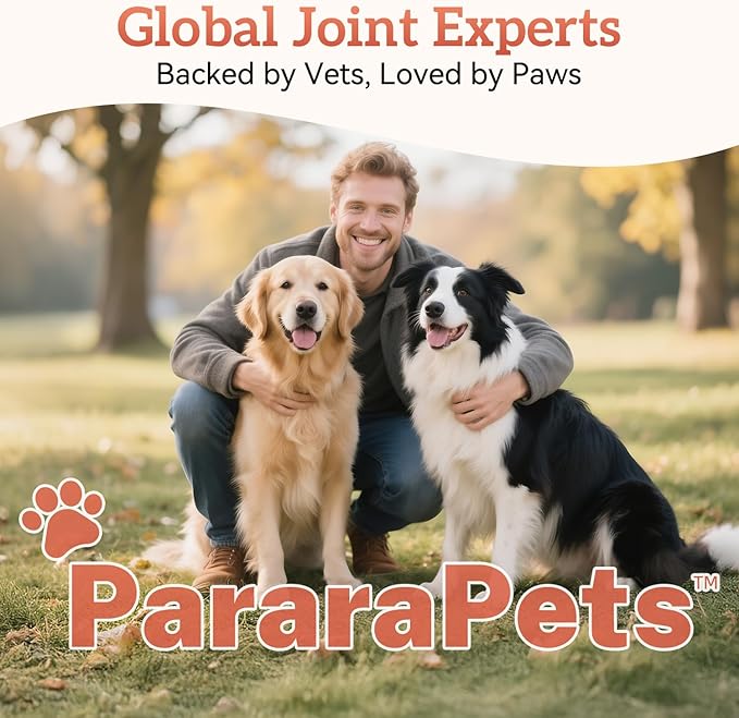 Advanced Dog Hip and Joint Supplement with Glucosamine, Chondroitin, MSM, and Vitamin C, Beef Flavor, 60 Soft Chews