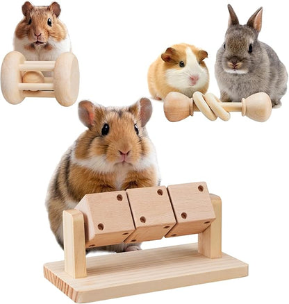 3 Pcs Wooden Hamster Enrichment Toys, Guinea Pig Chew Toys for Syrian & Dwarf Hamsters,Rabbits, Gerbils, Rats, Chinchillas, Small Animals Playing Teeth Grinding Indoor Outdoor
