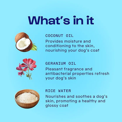 Dirty Dog Beauty Club - Disco Dog Shampoo & Conditioner - Organic Essential Oils, Vet & Scientist Formulated - Clean, Vegan, Paraben & Sulfate-Free - 300 ml (10 oz), Sage Breeze Scent