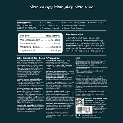 Senior Dog Powder Supplement & Food Topper – 63 Ingredients for Joint, Gut, Immune & Brain Health – Daily Longevity Multivitamin with Glucosamine, Probiotics, and Fish Oil | 60 Scoops