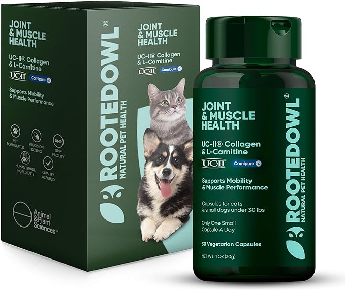 Rooted Owl Joint and Muscle Support for Cats and Small Dogs (Under 30 Lbs) - Supplement with UC-II Type II Collagen and L-Carnitine - 30 Count