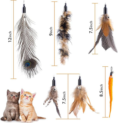 Retractable Cat Wand Toys - Interactive Feather Wand with Bell for Indoor/Outdoor Cats, 8 Pack