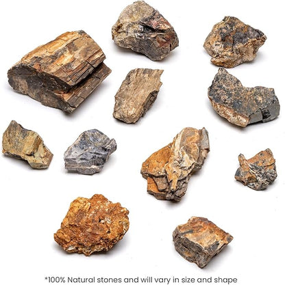 SubstrateSource Natural Stone for Aquarium, Terrarium, Paludarium, Reptile Enclosures - Set of Decorative Rocks for Landcapes, Aquascaping, Fish Tank Decor (Petrified Wood Stone, 30 Pounds, 2-8")