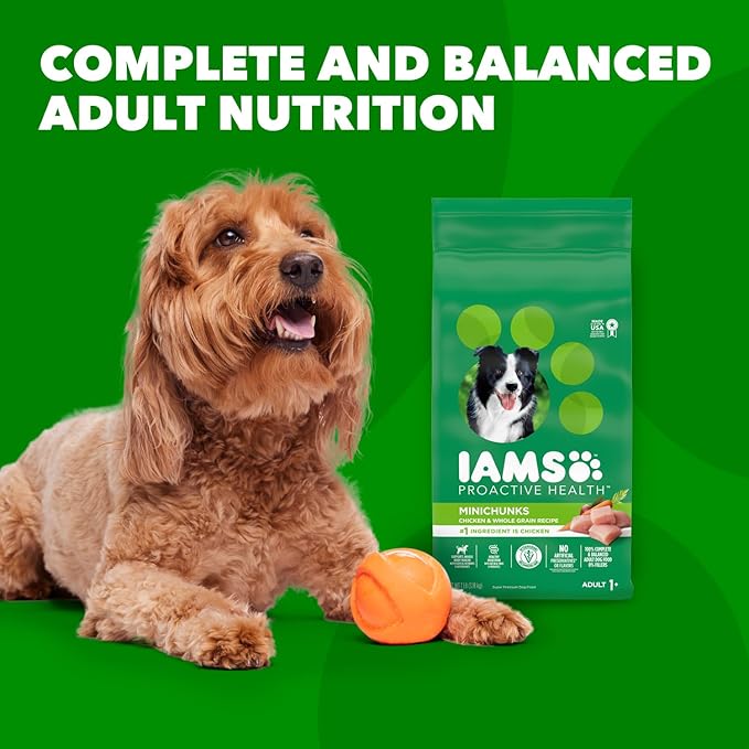 IAMS Proactive Health Minichunks Adult Dry Dog Food with Real Chicken, 40 lb. Bag