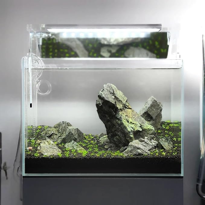 SubstrateSource Natural Stone for Aquarium, Terrarium, Paludarium, Reptile Enclosures - Set of Decorative Rocks for Landcapes, Aquascaping, Fish Tank Decor (Manten Stone, 10 Pounds, 2-6")