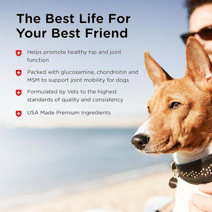 Nutri-Vet Advanced Strength Hip & Joint Chewable Dog Supplements - Formulated with Glucosamine & Chondroitin to Support Dog Cartilage & Mobility - 150 Tablets