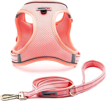 Dog Harness and Leash Set, Step in no Pull Dog Harness Adjustable Reflective Padded Mesh Fabric Dog Vest for Extra-Small/Small Medium Dogs and Cats-XS-Pink