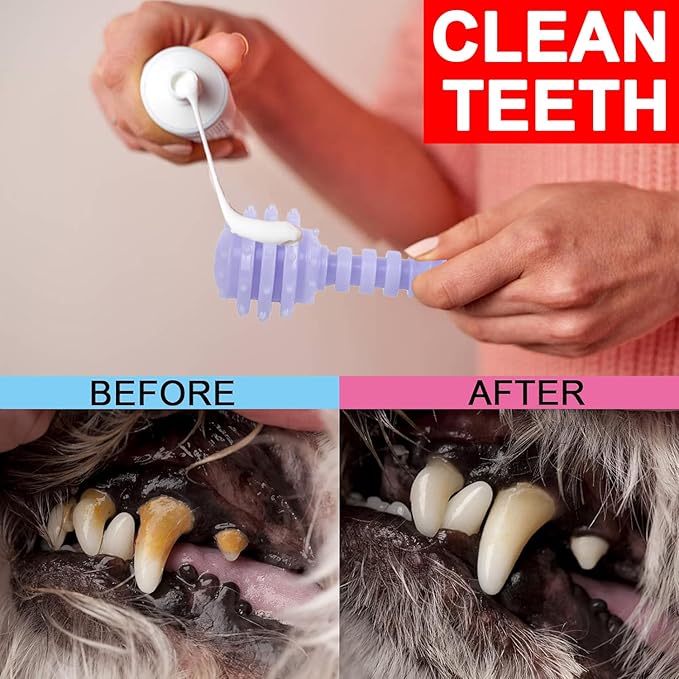 6 Pack Dog Chew Toys, Purple, Small Dog Teething Toys, Soft Durable Interactive Toys for Puppies