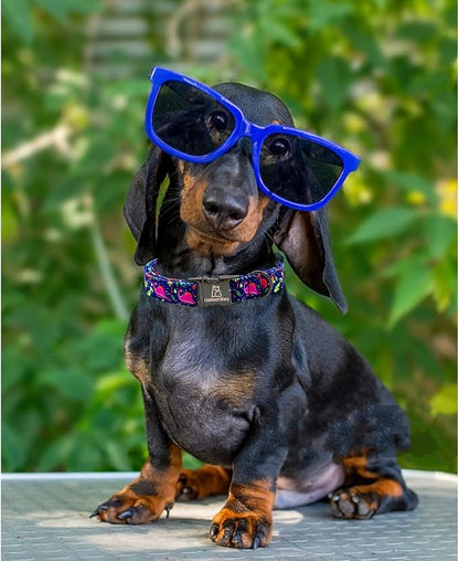 Lionheart glory Dog Collar, Blue Dog Collar Boy Dog Collars Adjustable Dinosaur Collar for Small Dogs Pet Gift