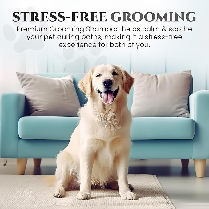 605Products Premium Dog Shampoo - Gentle Formula for Itchy & Sensitive Skin, Puppy Odor Eliminator, Natural Pet Deodorizer (10oz) - Show Dog (2-Pack)