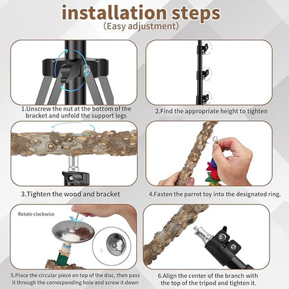 72" Parrot Stand, Adjustable Height Bird Perch, Pepper Wood Perch Stand, Parakeet Perches with Feeding Cups, Swing Toy, Toy Cymbals，Parrot Stands for Indoor & Outdoor Small to Medium Bird.