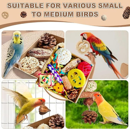 Parakeet Toys, Bird Toy Conure Grass Mat Budgie Shredder Hanging Set Cockatiel Foraging Toys Parrot Climbing Wall Toy Lovebird Cage Accessories for Small Birds (Colorful-Cockatiels Box Toys)