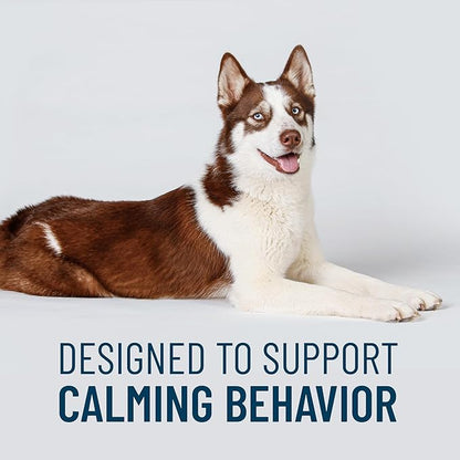 Nutramax Solliquin Calming Behavioral Health Supplement for Large Dogs - with L-Theanine, Magnolia/Phellodendron, and Whey Protein Concentrate, 75 Soft Chews