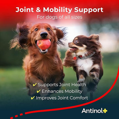 Antinol Plus, Mobility, Hip, and Joint Supplement for Dogs, Green-Lipped Mussels and Krill Oil - Dog Joint Supplement, Better and Faster Than Glucosamine and Chondroitin, 150 Soft Gels