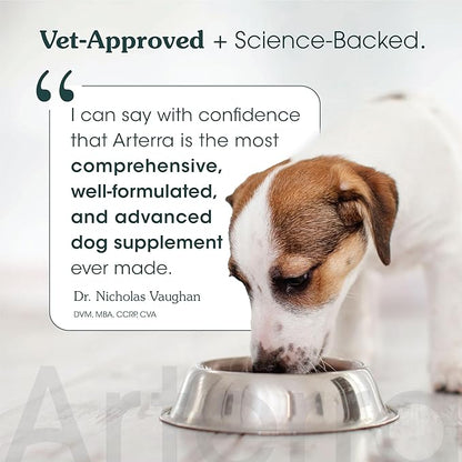 Adult Dog Powder Supplement & Food Topper  46 Ingredients for Gut, Immune & Brain Health  Daily Longevity Multivitamin for Whole Body Wellness | 120 Scoops