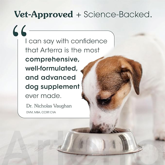 Adult Dog Powder Supplement & Food Topper  46 Ingredients for Gut, Immune & Brain Health  Daily Longevity Multivitamin for Whole Body Wellness | 60 Scoops