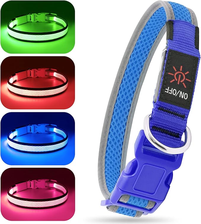 BSEEN Light Up Dog Collars - Reflective LED Dog Collar, Rechargeable Puppy Collar for Small Dogs, Glow in The Dark Dog Camping Gear, Flashing Dog Lights for Night Walking (Small, Blue)