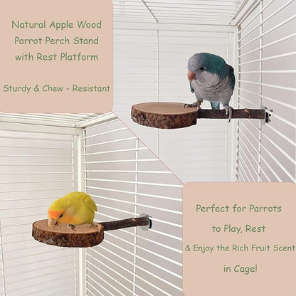 Bird Perches for Cage with Thick Thin Natural Wood, ROOJUNE Bird Cage Accessories 4 Pack Bird Perch Platform for Small Medium Parakeets Parrots Conures Cockatiels Finches Lovebirds
