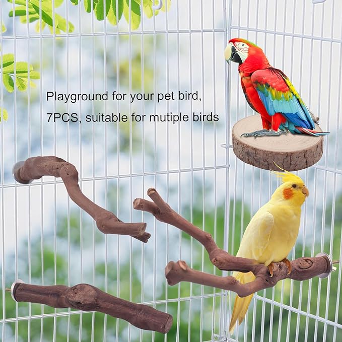 6PCS Bird Perches Natural Parrot Perch Stand for Cage, Grape Wood Stands, Bird Platforms, Parakeets Paw Grinding Fork Exercise Toys Set for Cockatiels, Conure, Parrot