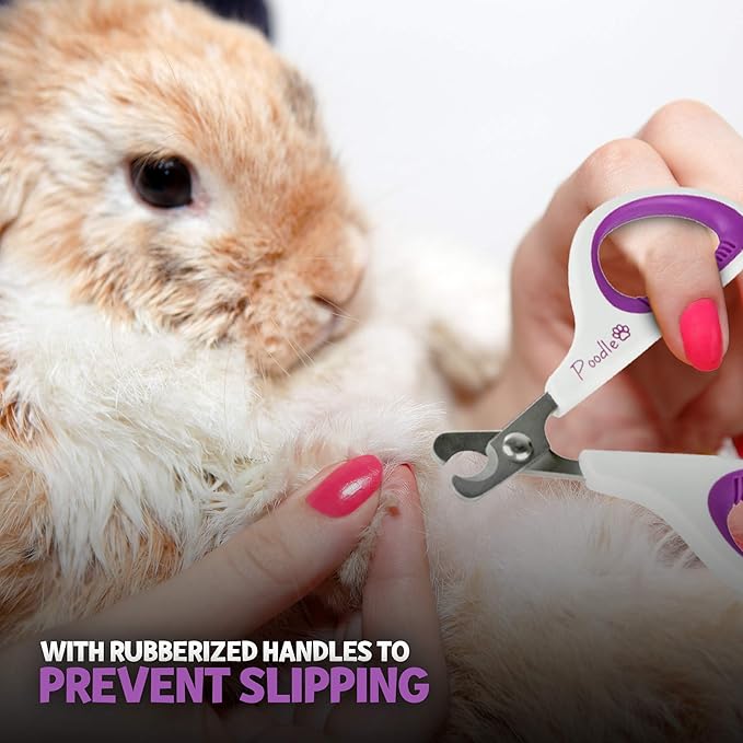 Cat Nail Clipper, Dog Nail Trimmers  Pet Claw Scissors for Cats, Dogs, Rabbits & Small Animals  Sharp Stainless Steel Professional Grooming Tool - Gentle Yet Effective