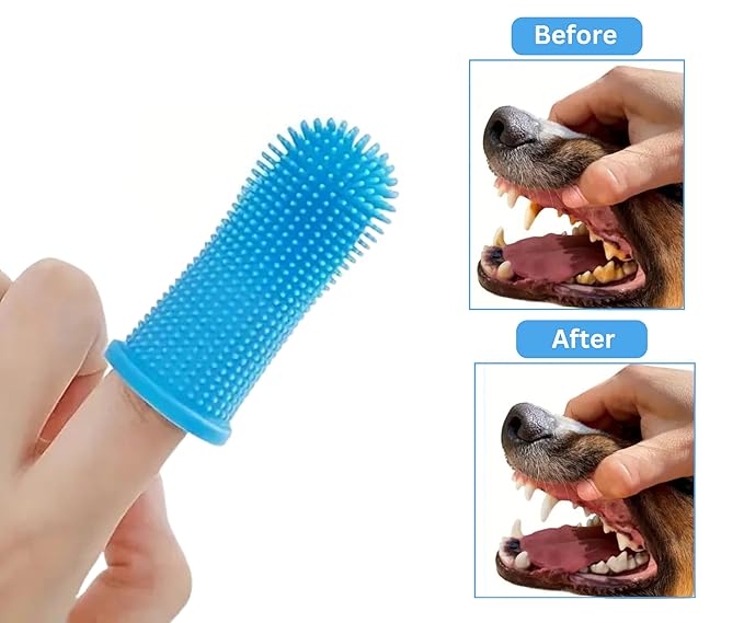 3-in-1 Pet Grooming Set - Self-Cleaning Slicker Brush, Deshedding Rake Comb, and Finger Toothbrush for Dogs & Cats | Perfect for Grooming, Dematting, and Dental Care (blue)