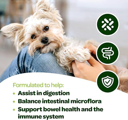 Probiotic Chews for Dogs Gut Health | Tasty Pre and Probiotics for Dogs Digestive Health with Pumpkin Dog Probiotics and Digestive Enzymes | NASC Certified & Made in The USA | 60 Chews