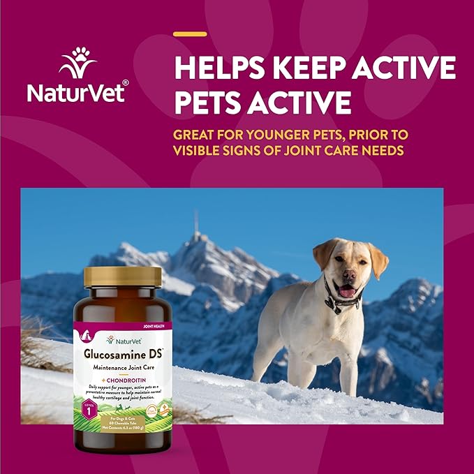 NaturVet Glucosamine DS Level 1 Maintenance Care Hip & Joint Support Pet Supplement for Dogs & Cats _lucosamine, Chondroitin, Antioxidants _upports Cartilage, Joint Function  60 Ct.